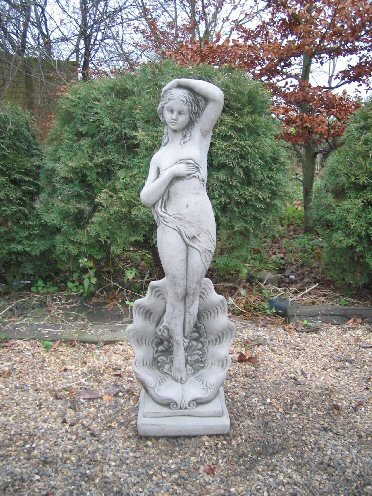 KF9 Large Shell Lady KF9 Large Shell Lady